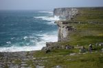 PICTURES/Innishmore - Dun Eoghanachta & Dun Aonghas Stone Forts/t_DSC04859.JPG